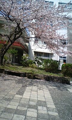 100406_1250~0001.jpg