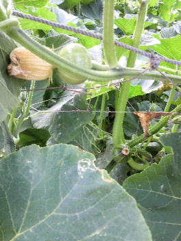 2011071222280000.jpg
