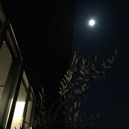 EC20160124220430.jpeg
