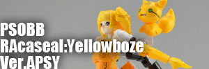psobb.jpg