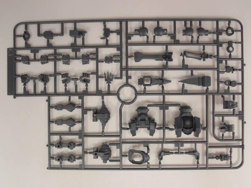 PA250661.JPG