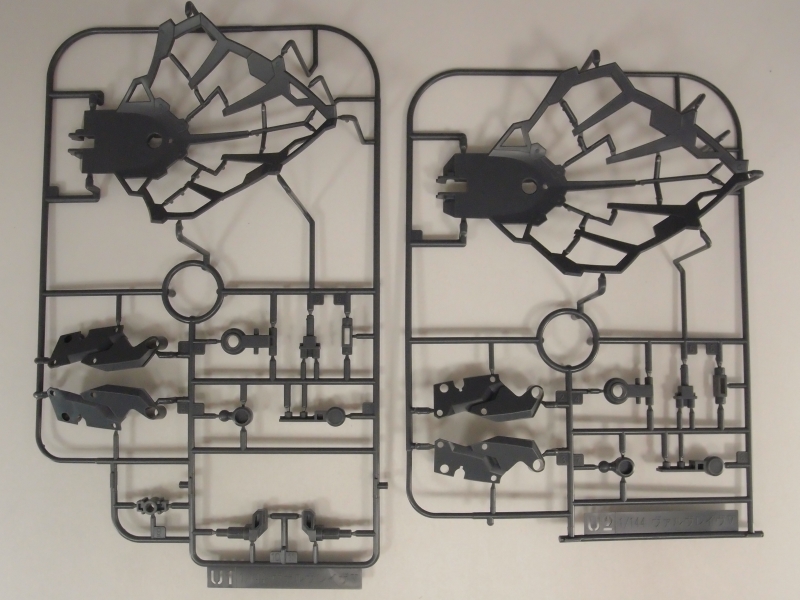 PA250674.JPG