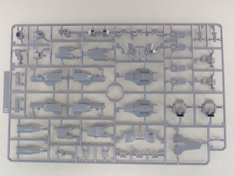 P5163420.JPG