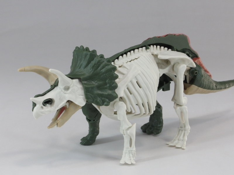 プラノサウルス トリケラトプス レビュー | KenBill Blog