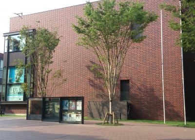 東京都美術館