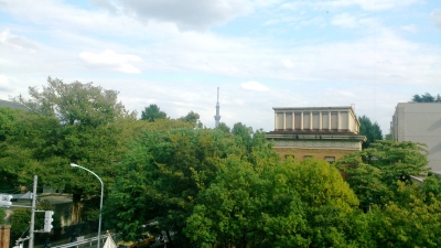 東京芸大 休憩室より展望