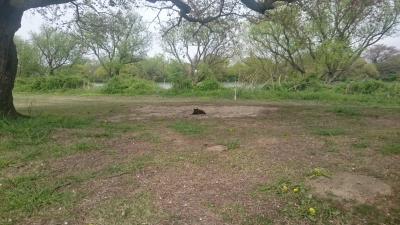 錦が原ゴルフ場