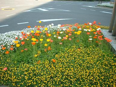 20090501c 大井町駅