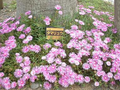 20090615b 公園