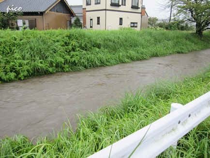 今にも氾濫しそうな川・・・。