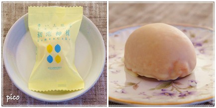 青い山脈のレモンケーキ 初恋檸檬 レモンの秘密 レモンと Pico が暮らす日々