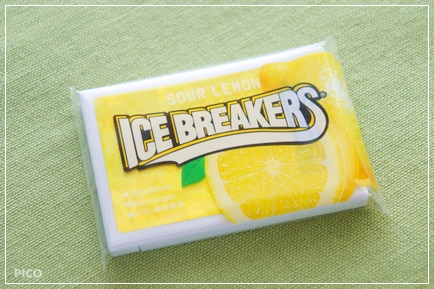 ICE BREAKERS アイスブレーカーズ