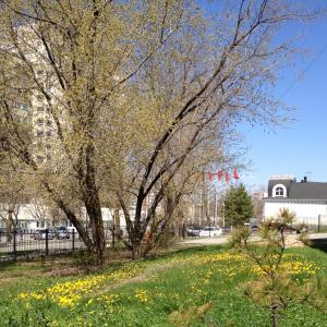 IMG_9993_small.JPG