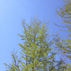 IMG_9973_small.JPG