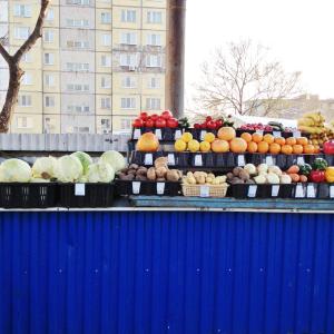 IMG_0019_small.JPG
