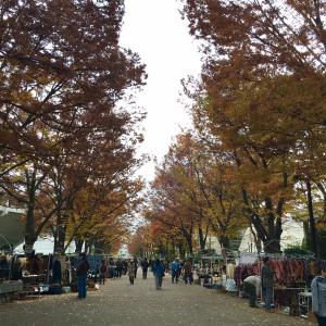 oedo201611_small.jpg