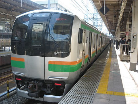 E217系 新湘南色