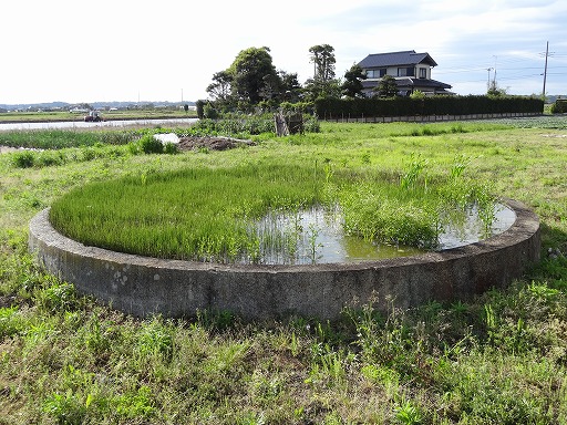 水槽
