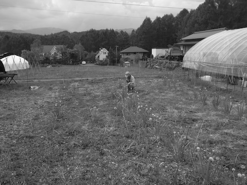 R0012721.jpg