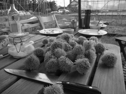 R0012726.jpg