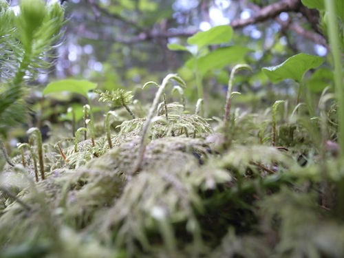 R0012747.jpg