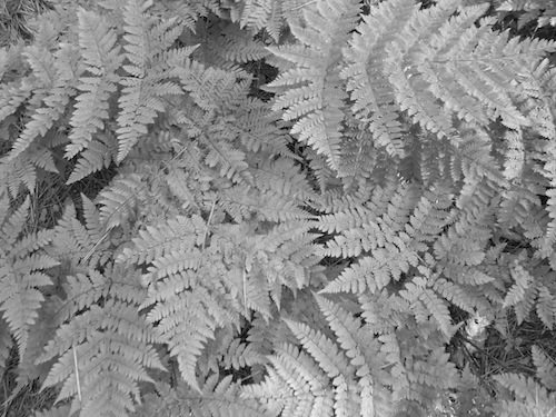 R0012749.jpg