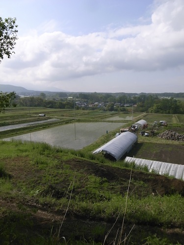 R0012767.jpg