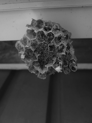 R0012779.jpg