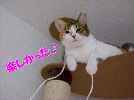 Í·¤ó¤Ç¤â¤é¤Ã¤¿ ¤ï¡¼¡¼¡¼¤¤¢ö