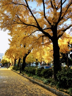 image01.jpg