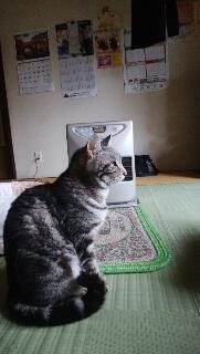 rps20161130_134508.jpg