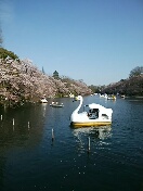 rps20170414_213026_475.jpg