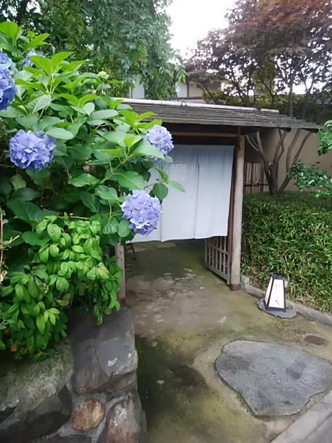 DSC_0064.jpg