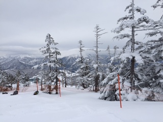 image1.JPG