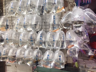 image1.jpeg