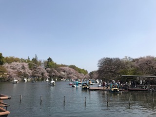 IMG_6068.jpg