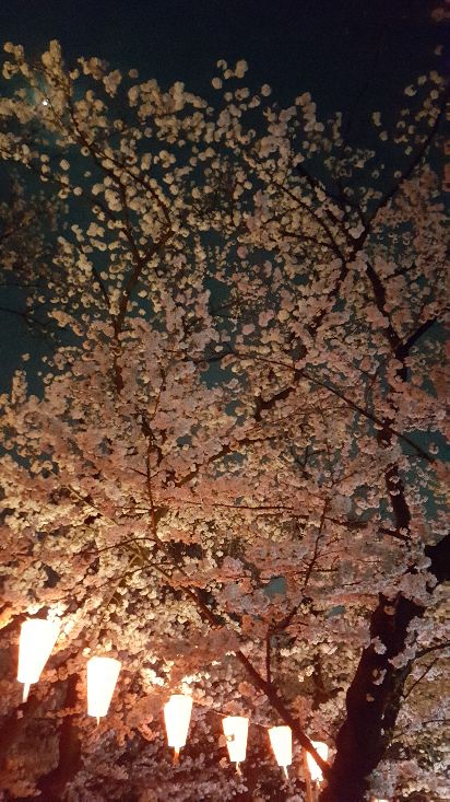 20180327_192138.jpg