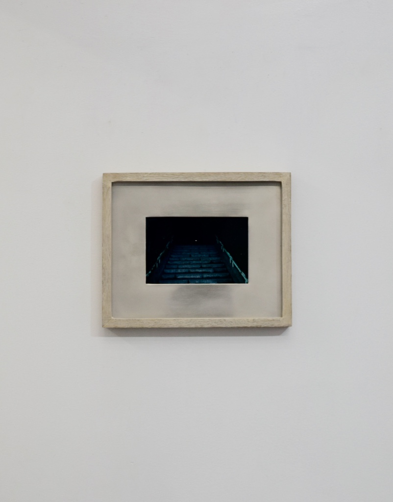 zen150927_8.jpg