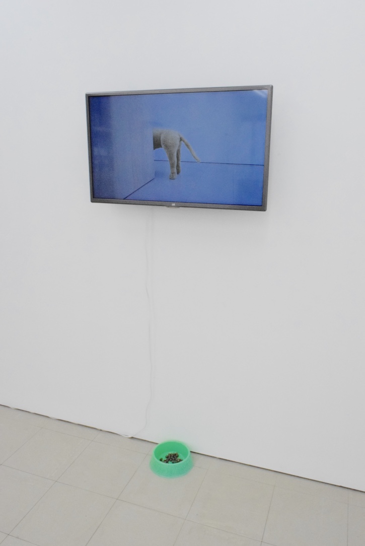 misako160116_12.jpg