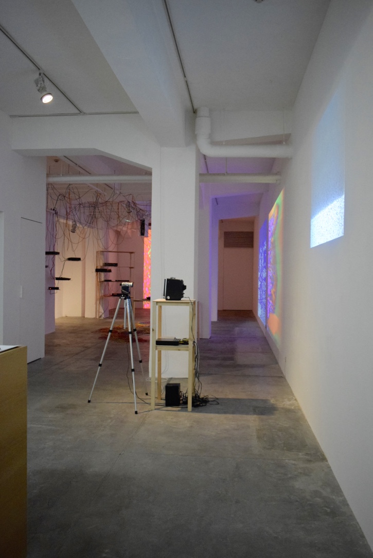 am160116_4.jpg