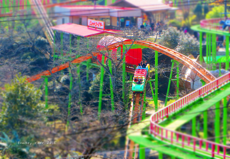 urayamaooita65.jpg