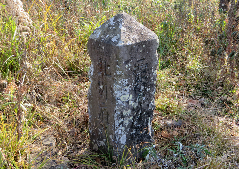 urayamaooita86.jpg