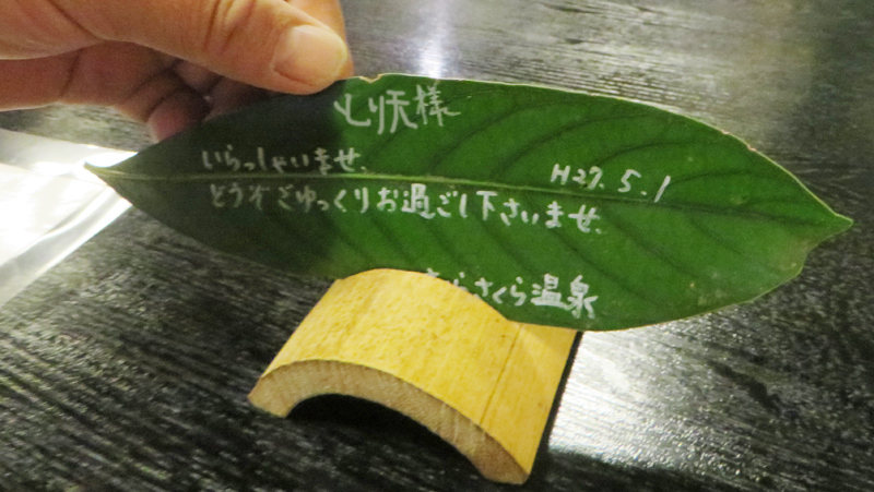 kyusyutour74.jpg