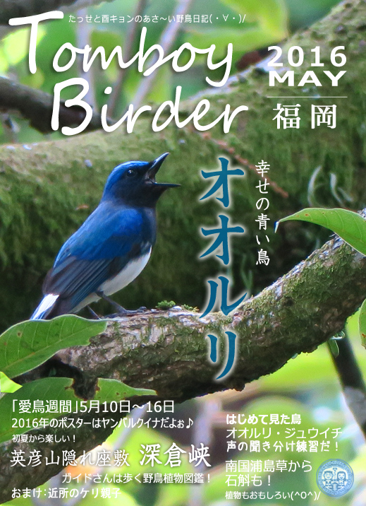 Tomboy Birder 2016 5月号 “幸せの青い鳥” | お転婆RIDER