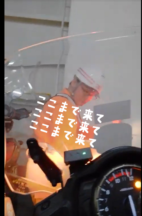 gooo31.jpg