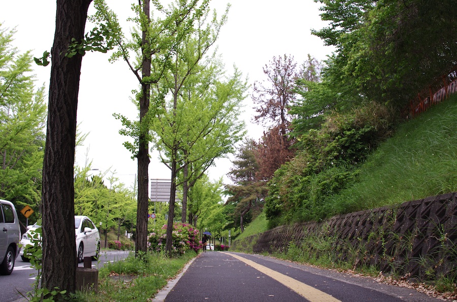 IMGP2255.jpg