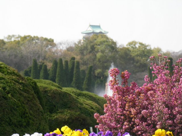 公園2