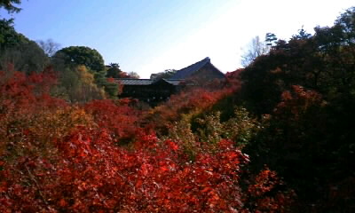 通天橋.JPG
