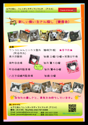 通常譲渡会