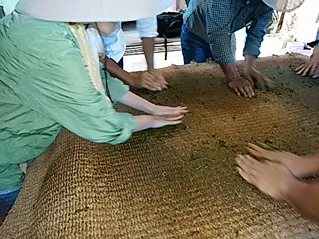 IMG_20151007_144955.jpg
